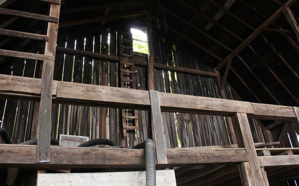 Inside of barn